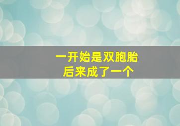 一开始是双胞胎 后来成了一个